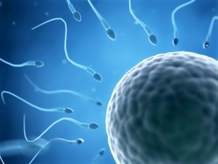 The secret of our fertility — prenatal diagnosis