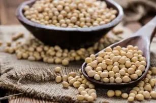 The truth about soybeans! Is it safe and healthy?