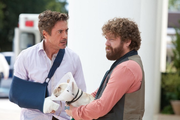 TOP 10 best films with actor Zach Galifianakis