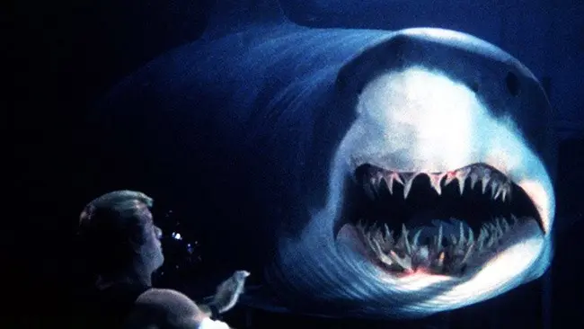 Top 10 best movies about sharks