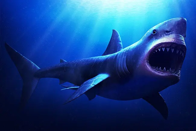 Top 10 best movies about sharks