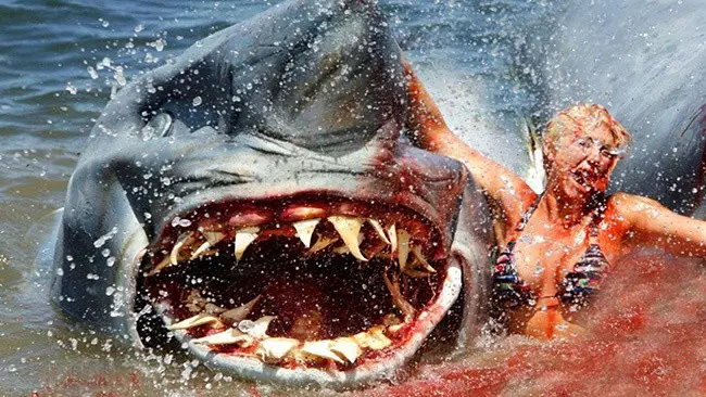 Top 10 best movies about sharks