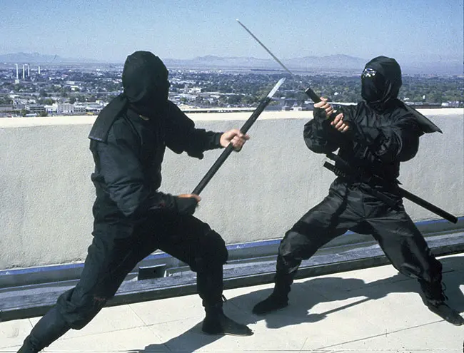 Top 10 best ninja movies