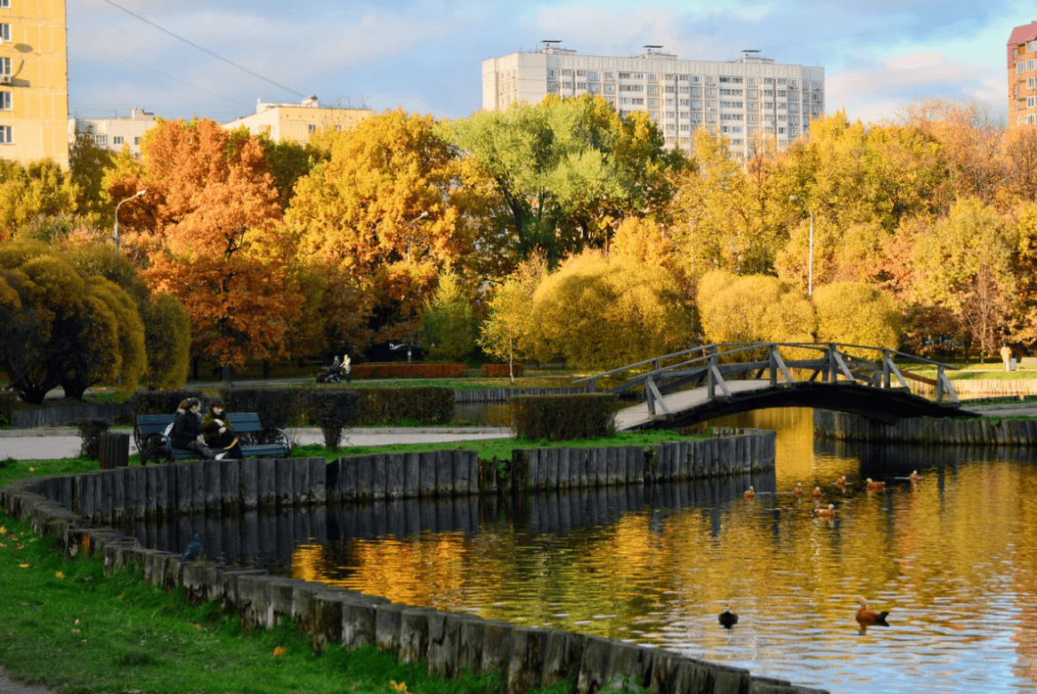 Top 10 best parks in St. Petersburg, which are definitely worth a stroll