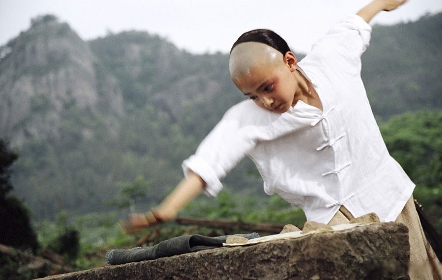 Top 10 Chinese Martial Arts Movies