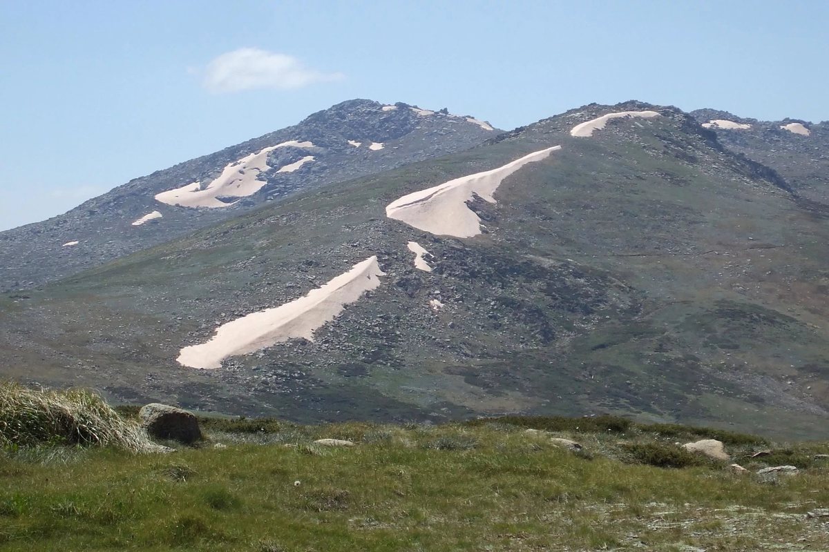 Самая высокая гора австралии высота. Гора Косцюшко в Австралии. Mount Kosciuszko гора в Австралии. Самая высокая точка горы Косцюшко.