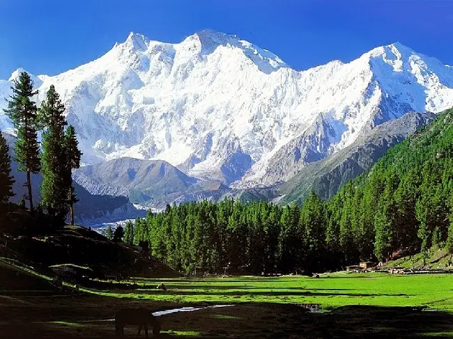 Top 10 highest mountains in the world