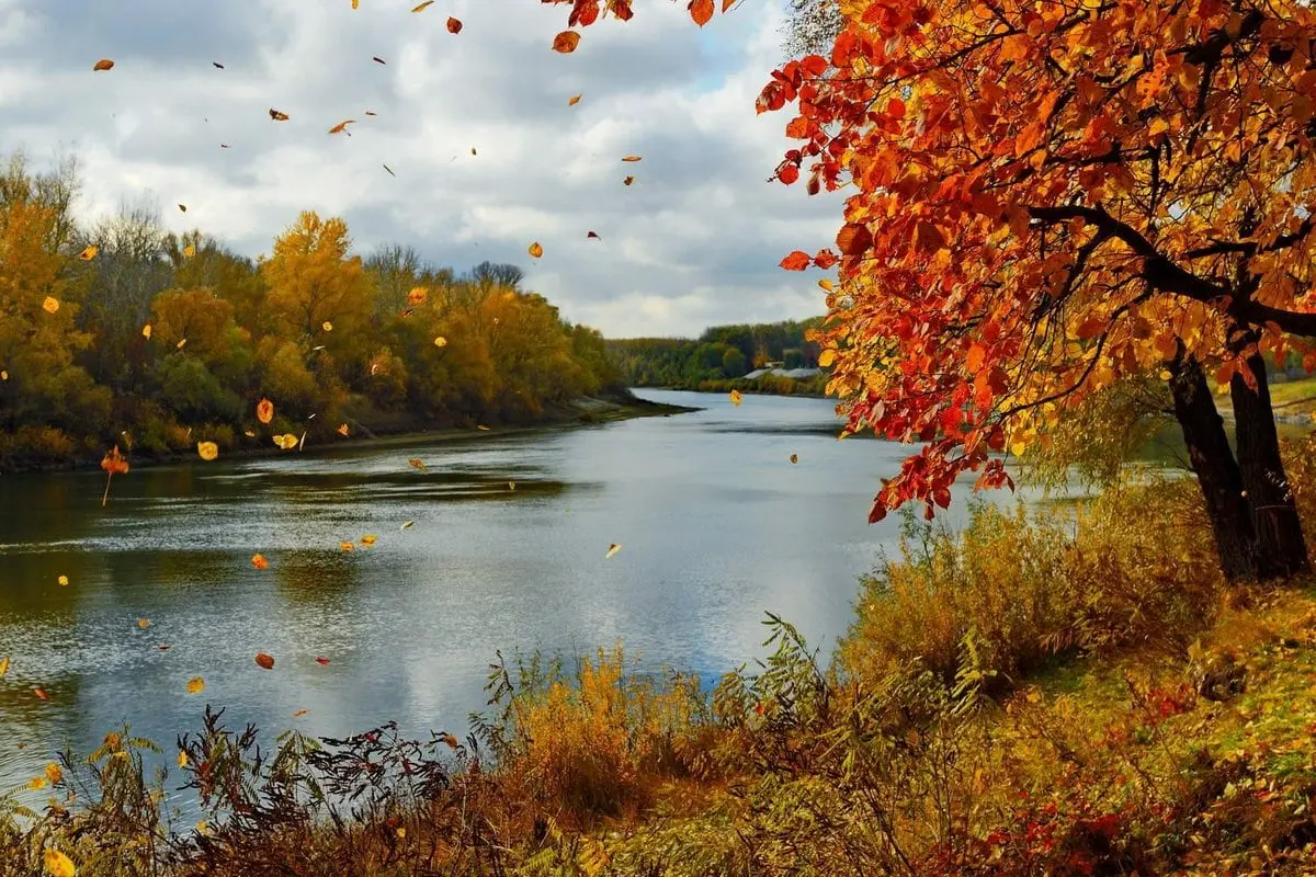 Top 10 interesting facts about autumn