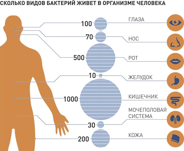 Top 10 interesting facts about bacteria