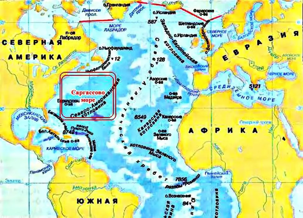 Top 10 interesting facts about the Sargasso Sea