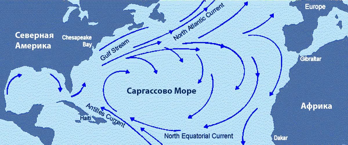 Течение совершил. Саргассово море течения. Карта морей Саргассово море. Саргассово море границы. Саргассово море на карте.