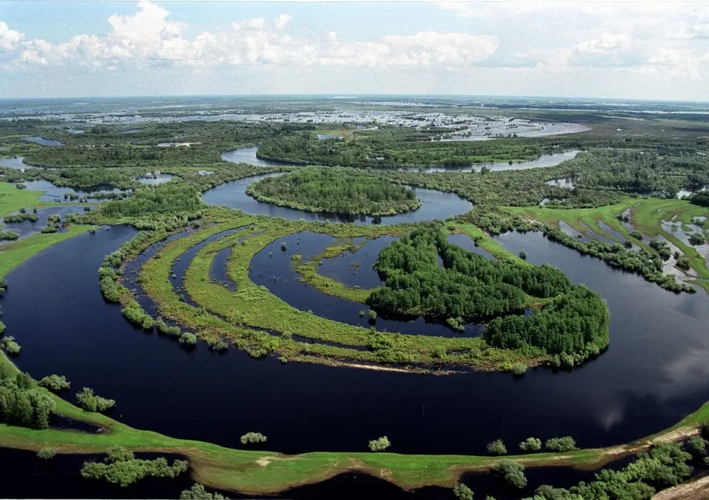 Top 10 interesting facts about the Vasyugan swamps