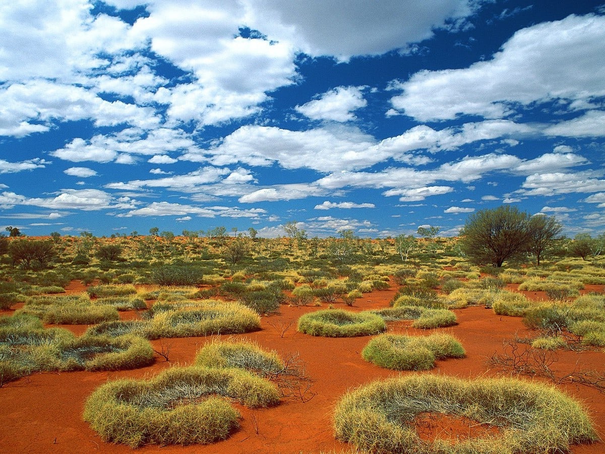 Top 10 largest deserts in the world - the sand giants of our planet