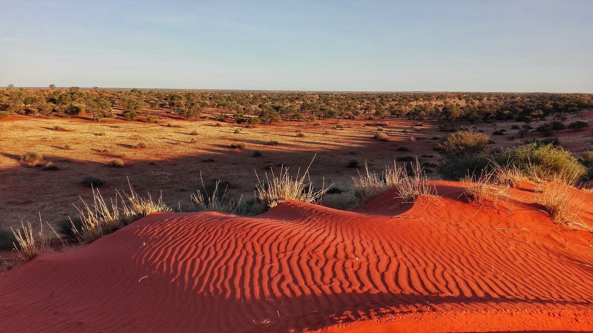 Top 10 largest deserts in the world - the sand giants of our planet