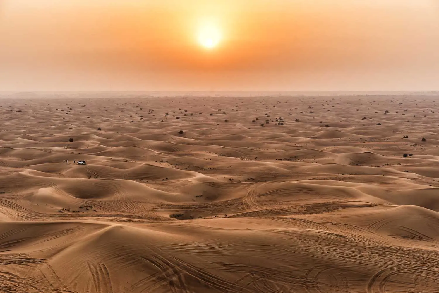 Top 10 largest deserts in the world - the sand giants of our planet