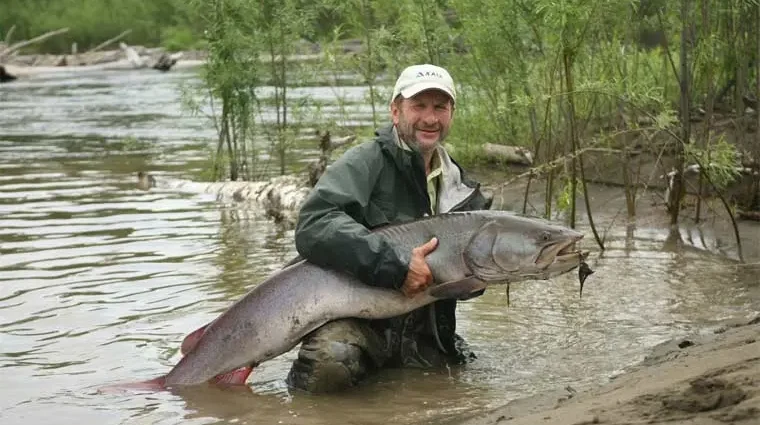 Top 10 largest freshwater fish in the world