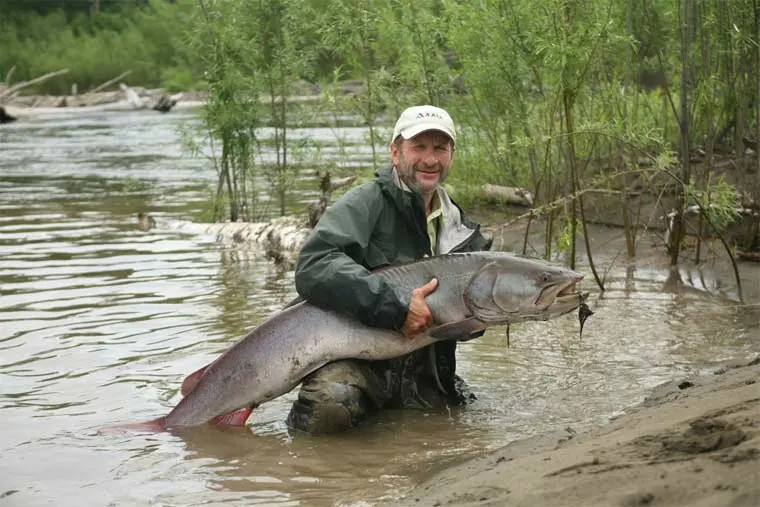 Top 10 largest freshwater fish in the world