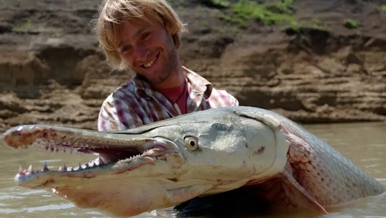 Top 10 largest freshwater fish in the world