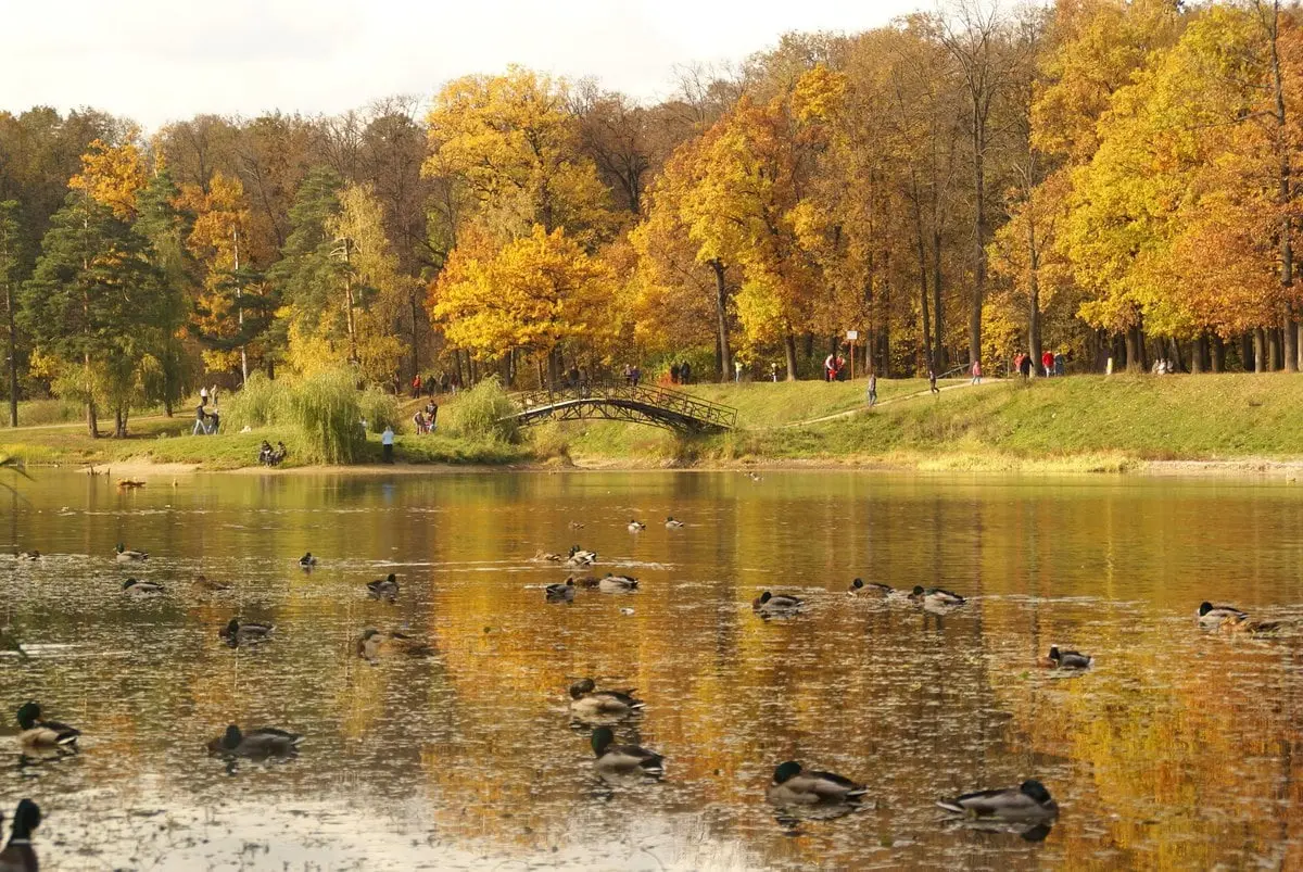 Top 10 largest parks in Moscow