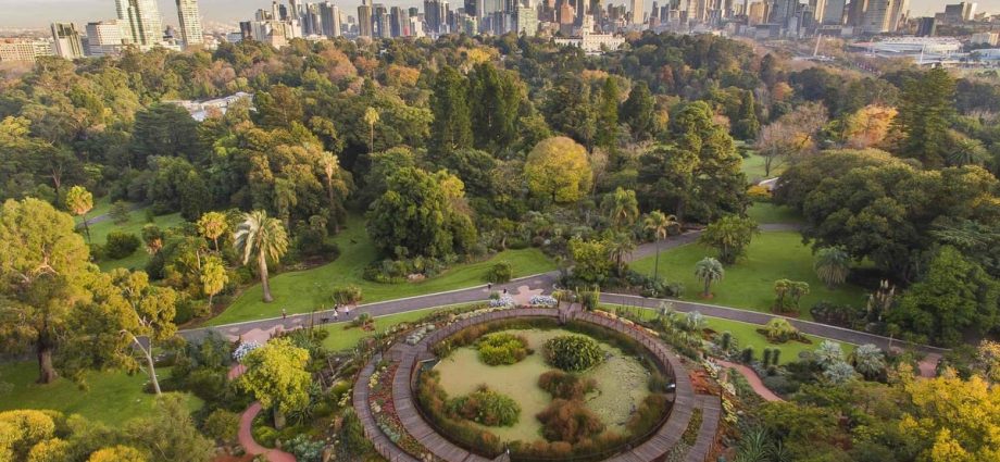 top-10-largest-parks-in-the-world-healthy-food-near-me