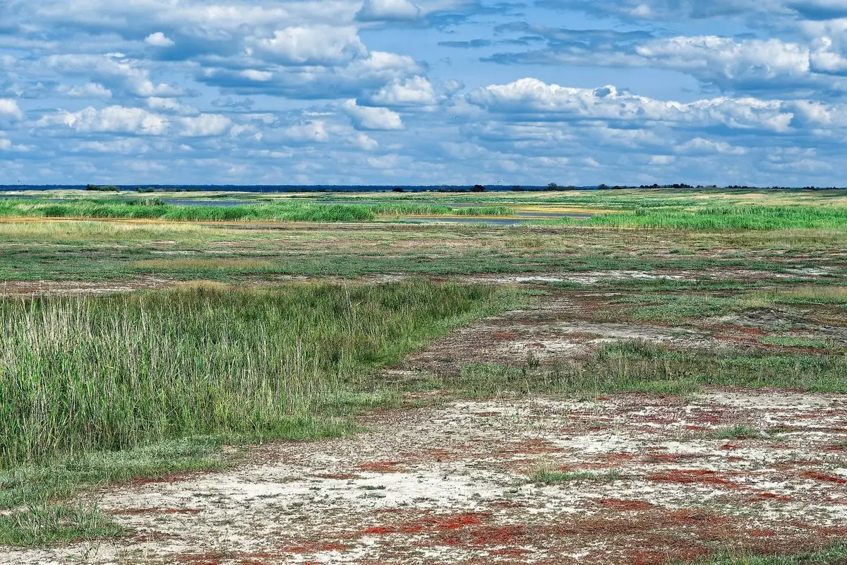 Top 10 largest plains in Russia