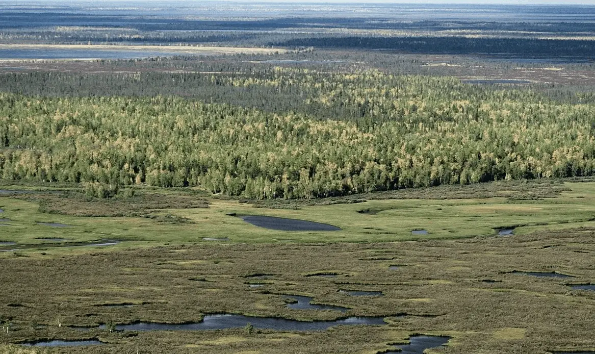 Top 10 largest plains in Russia