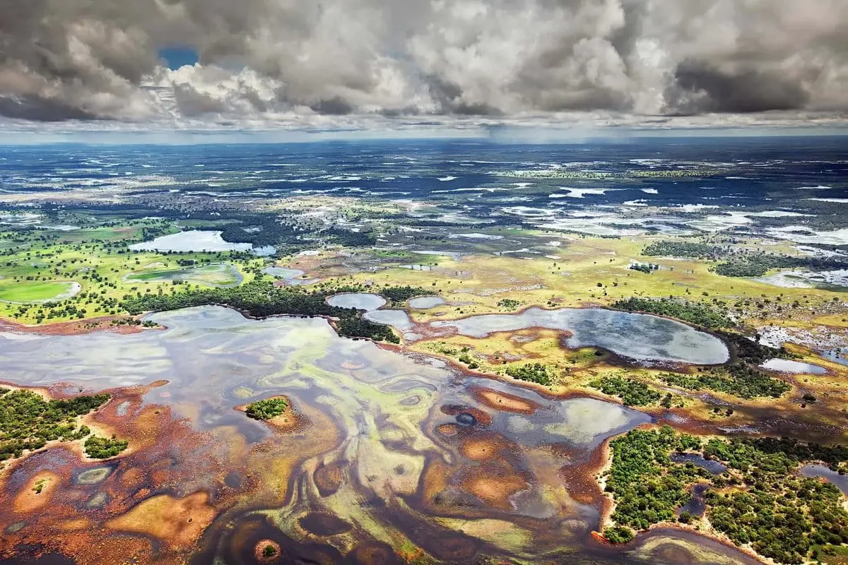 Top 10 largest swamps in the world