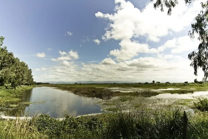 Top 10 largest swamps in the world