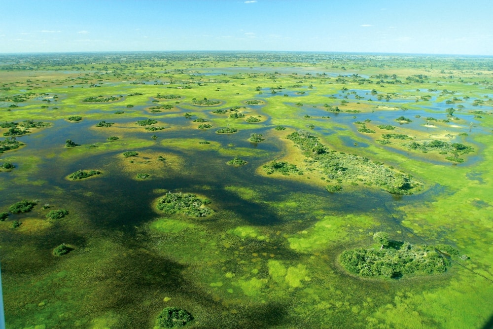 Top 10 largest swamps in the world