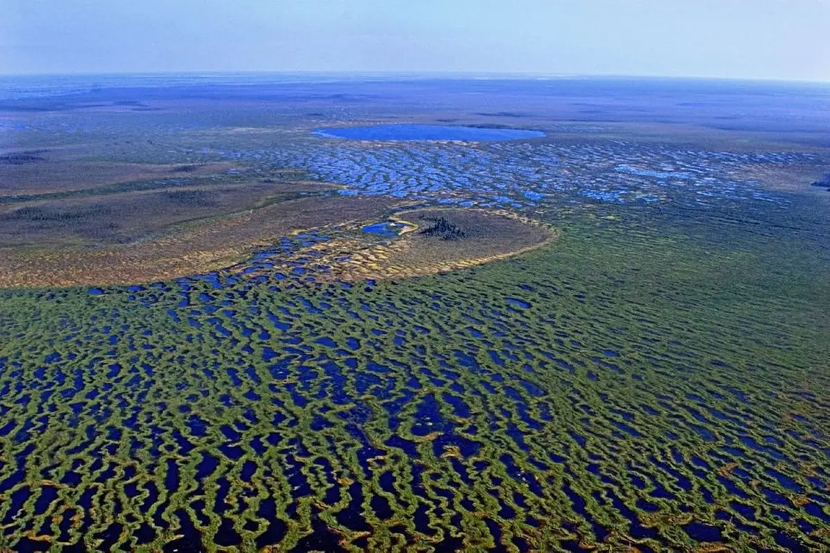 Top 10 largest swamps in the world