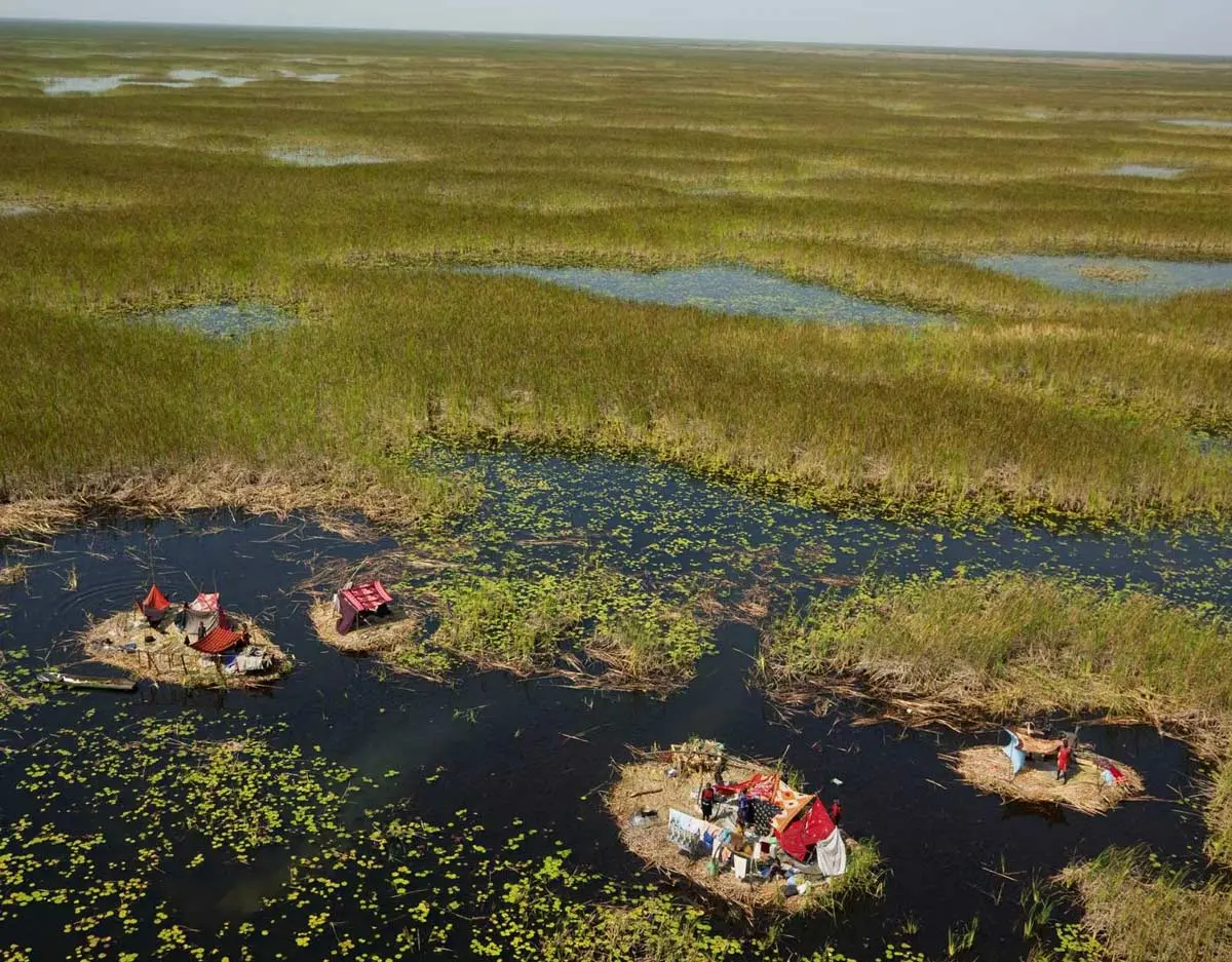 Top 10 largest swamps in the world