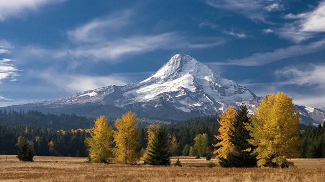 Top 10 largest US states by area