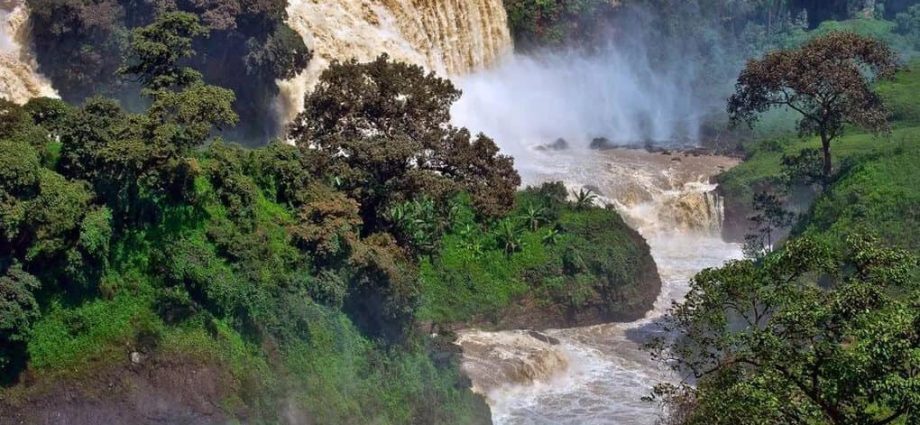 Top 10 Longest Rivers In Africa Healthy Food Near Me   Top 10 Longest Rivers In Africa 1 920x425 