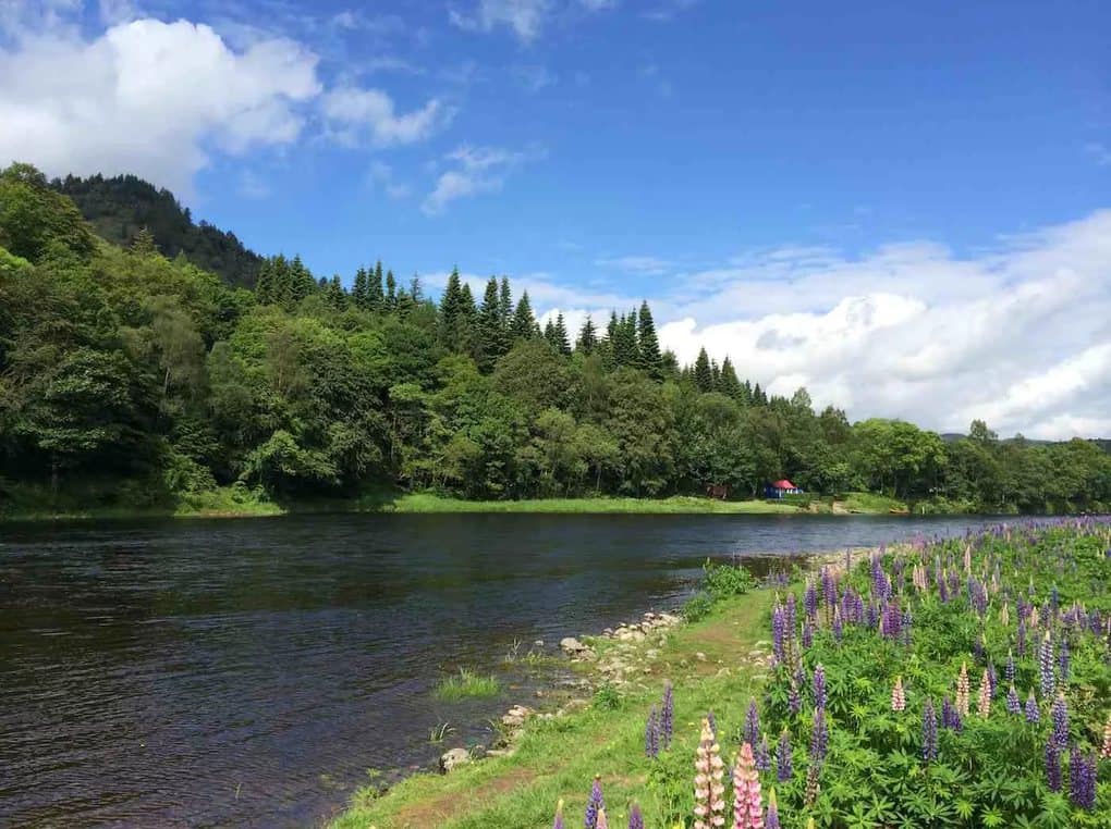 Top 10 longest rivers in the UK