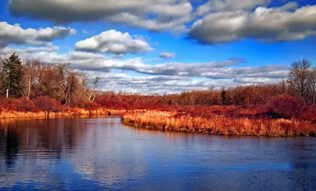 Top 10 longest rivers in the USA