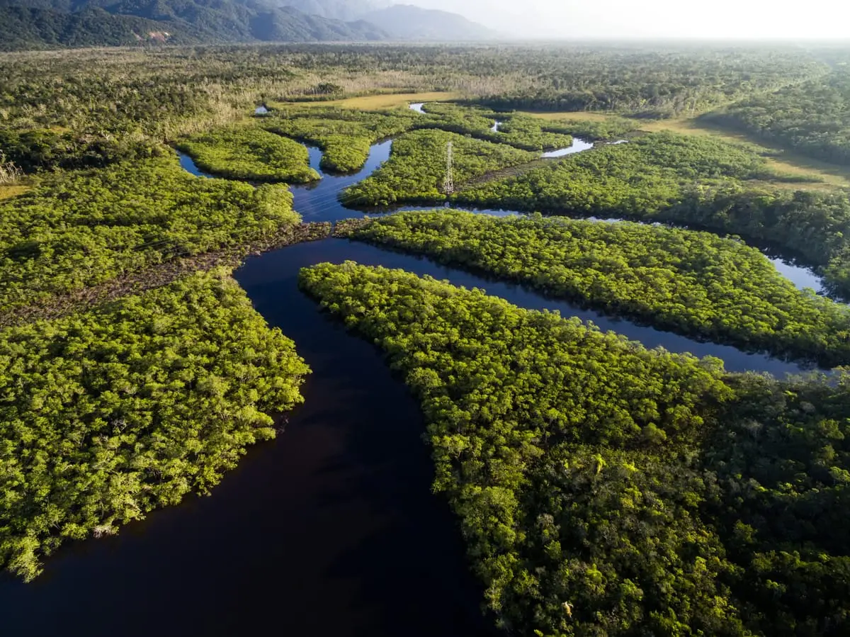 Top 10 longest rivers in the world