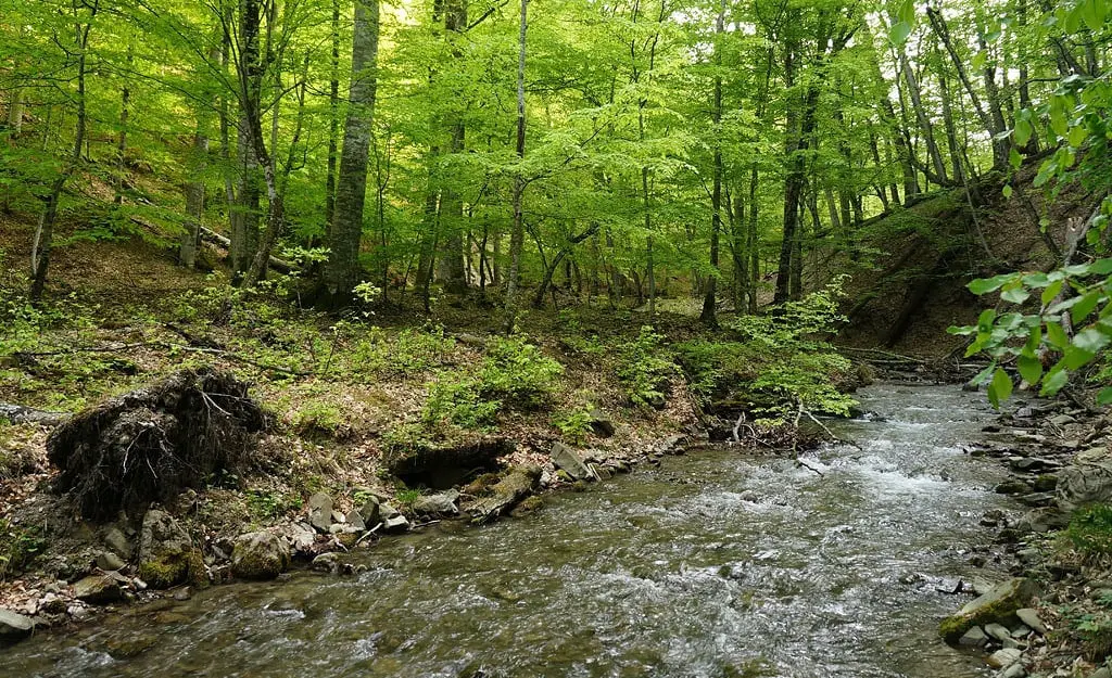 Top 10 longest rivers of Crimea