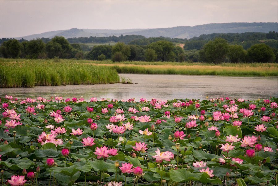 Top 10 most beautiful lakes in Russia for a wonderful holiday with children