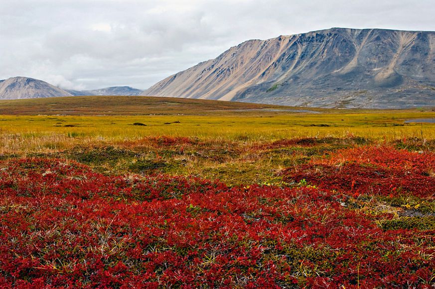 Top 10 most famous national parks in Russia