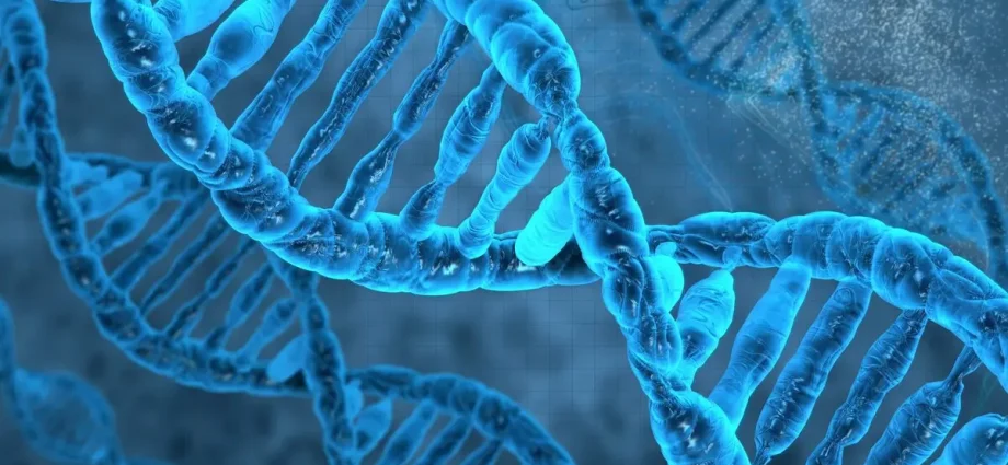 Top 10 most interesting facts about genetics