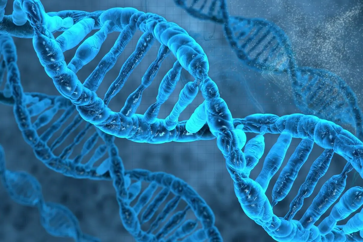 Top 10 most interesting facts about genetics