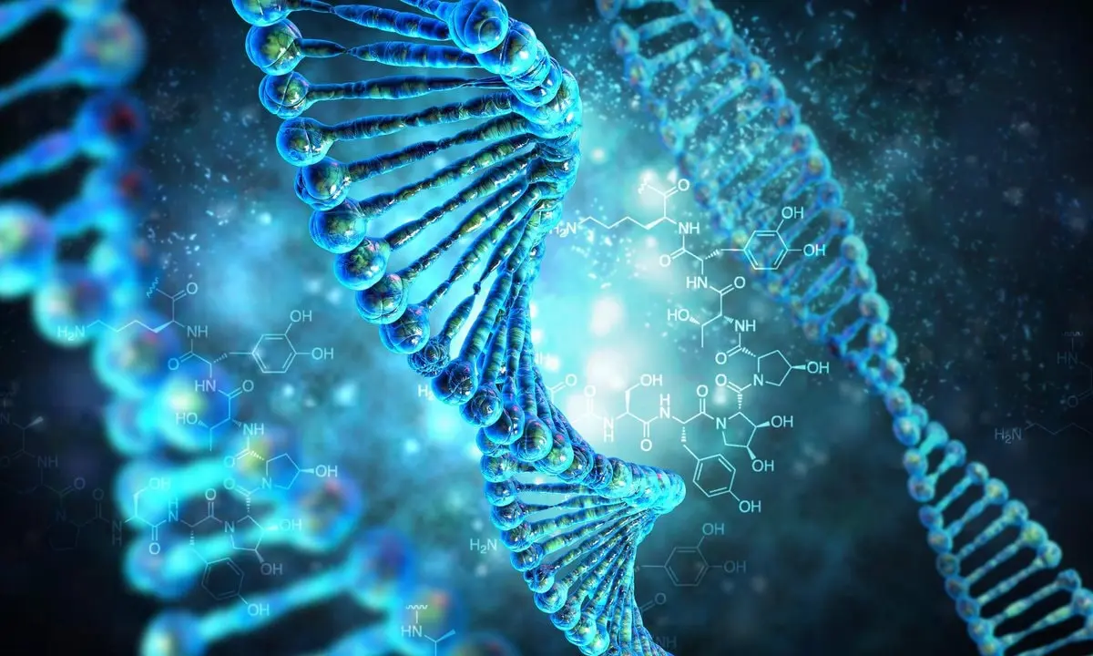 Top 10 most interesting facts about genetics