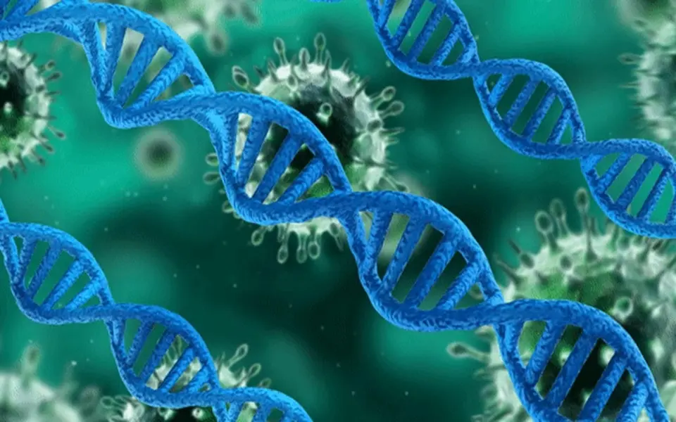 Top 10 most interesting facts about genetics