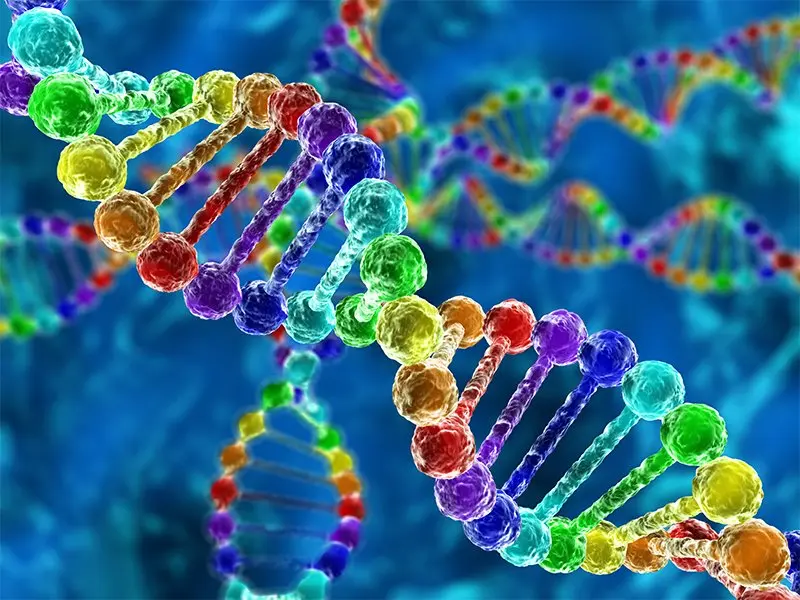 Top 10 most interesting facts about genetics