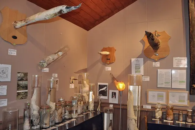 Top 10 most unusual museums in the world