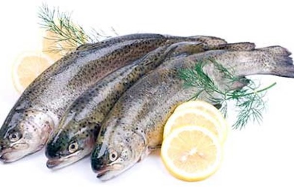 Trout benefits and harms to the body, meat composition, delicious recipes