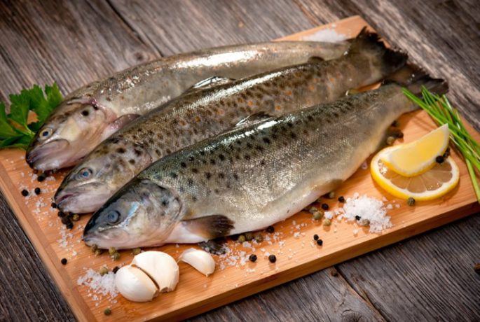 Trout benefits and harms to the body, meat composition, delicious recipes