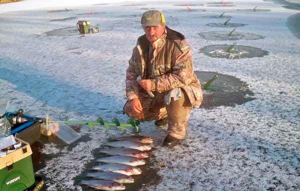 Trout fishing in winter on paysites: tackle, equipment, bait and bait