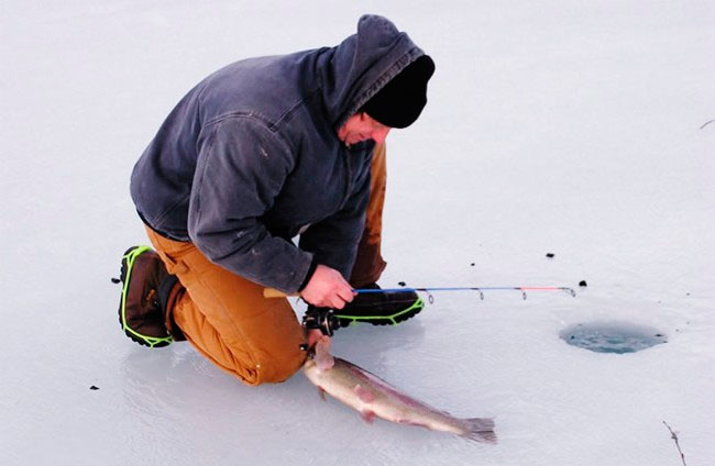 Trout fishing in winter on paysites: tackle, equipment, bait and bait