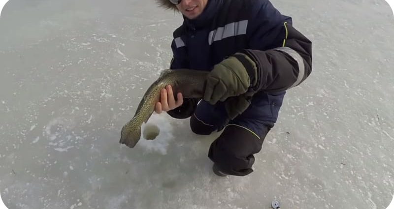 A pesca à a trota in l'invernu: e migliori tattiche è sicreti di a pesca